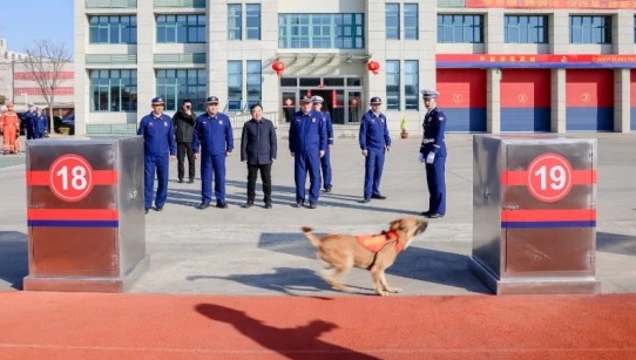 南通市搜救犬消防救援站掛牌 新增一支專(zhuān)業(yè)力量，提升應(yīng)急救援處置能力