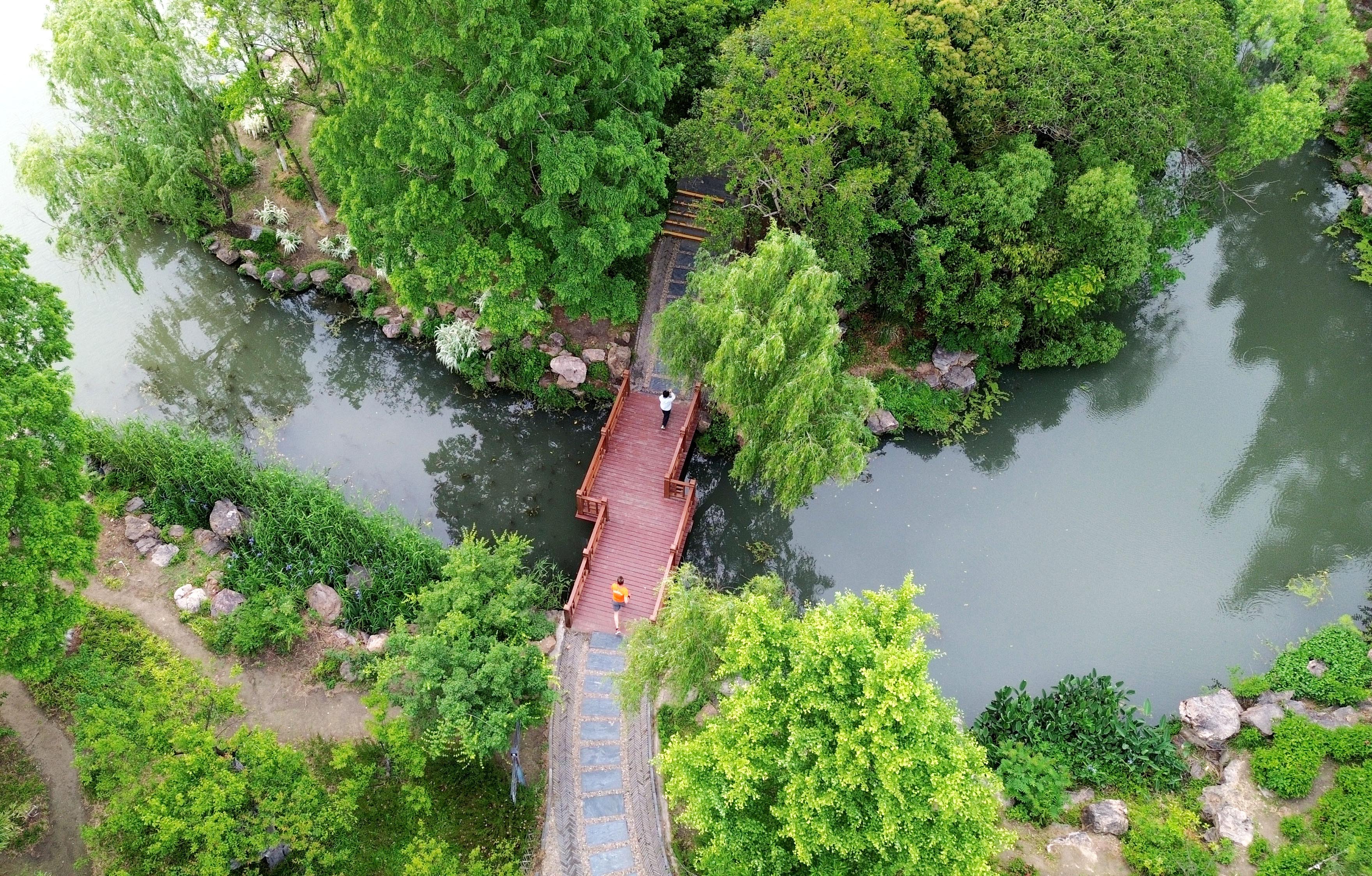 水清岸綠好生態(tài)！航拍濠東綠苑初夏美景