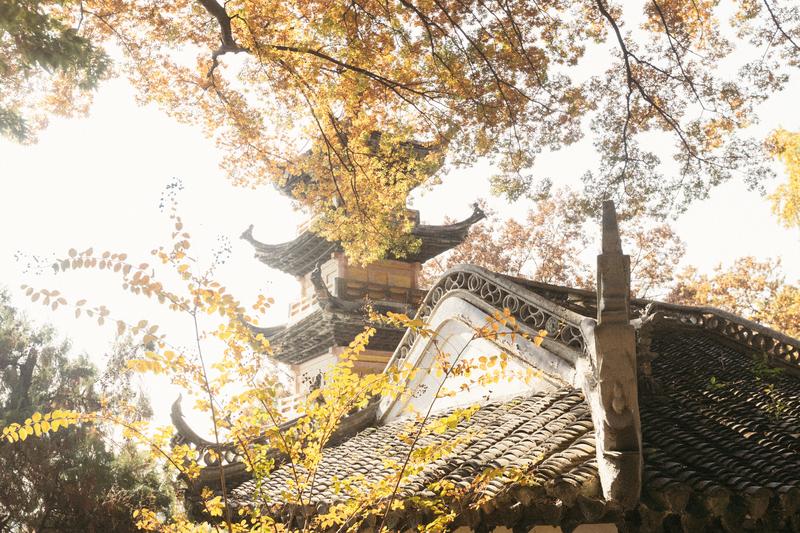 微信圖片_20251120162518_68_537